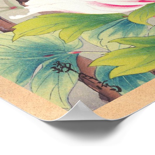 Zuigetsu Ikeda Pink Camellia japanese bloemkunst Poster (Hoek)