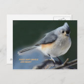 ZUIGZY SOFT GENTLE EN SMART BRIEFKAART (Voorkant / Achterkant)