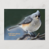 ZUIGZY SOFT GENTLE EN SMART BRIEFKAART (Voorkant)