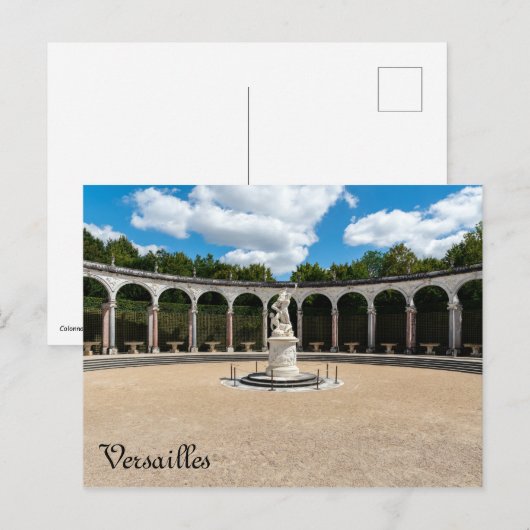 Zuilenrij bos in de tuinen van Versailles Briefkaart (Voorkant / Achterkant)