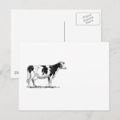 Zuivel Koe Holstein Fresian Pencil Tekening Briefkaart (Voorkant / Achterkant)