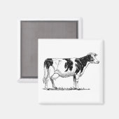 Zuivel Koe Holstein Fresian Pencil Tekening Magneet (Voorkant / Achterkant)