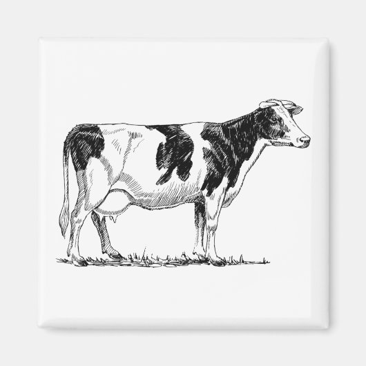 Zuivel Koe Holstein Fresian Pencil Tekening Magneet (Voorkant)