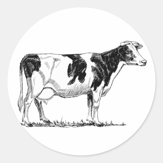 Zuivel Koe Holstein Fresian Pencil Tekening Ronde Sticker (Voorkant)