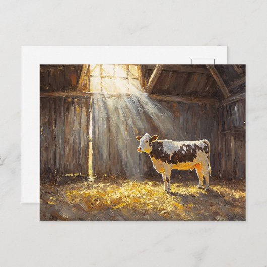 Zuivel Koe in een schuur Rustiek Boerderij Briefkaart (Voorkant / Achterkant)