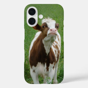 Zuivel Melkkoe op de boerderij iPhone 16 Hoesje