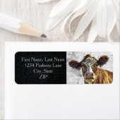 Zuivelachtige Koe Red Holstein Cute Boerderij Retu Etiket (Insitu)