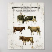 Zuivelachtige Koe  stijl Oude Rustige Koeien Poster (Voorkant)