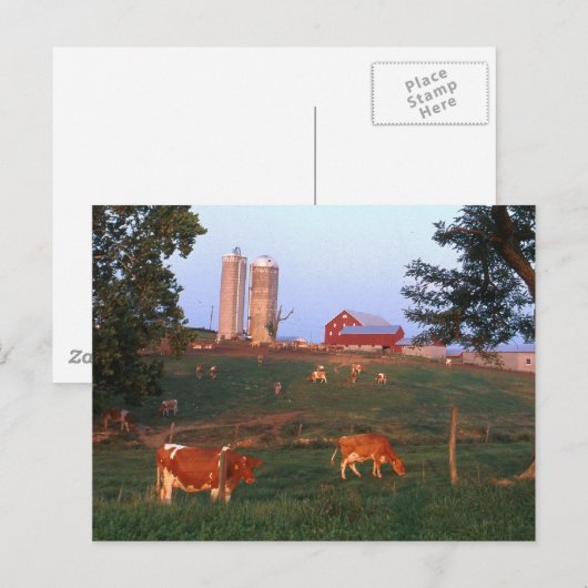 ZuivelBoerderij Briefkaart (Voorkant / Achterkant)