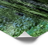 Zuiveldeur op de boom perfect poster (Hoek)