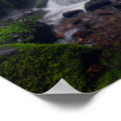 ZuivelHerfsten | Colombia Gorge Oregon Poster (Hoek)