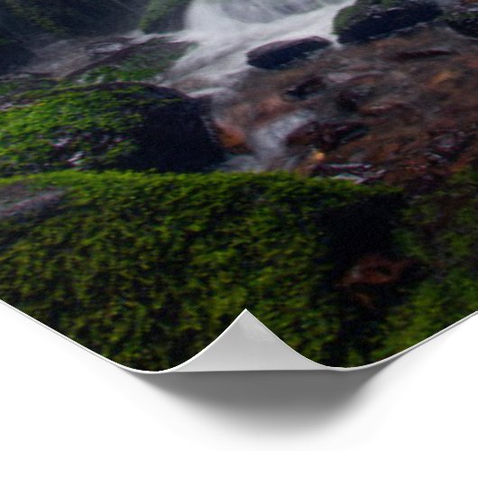 ZuivelHerfsten | Colombia Gorge Oregon Poster (Hoek)