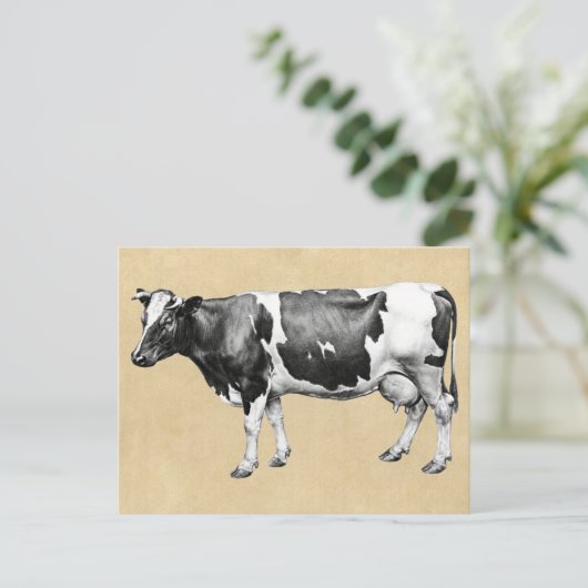 ZuivelKoe Briefkaart (Staand voorkant)