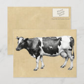 ZuivelKoe Briefkaart (Voorkant / Achterkant)