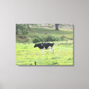 Zuivelkoe Foto Wand Canvas Kunst