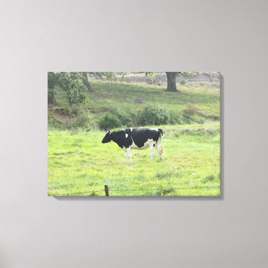 Zuivelkoe Foto Wand Canvas Kunst (Voorkant)