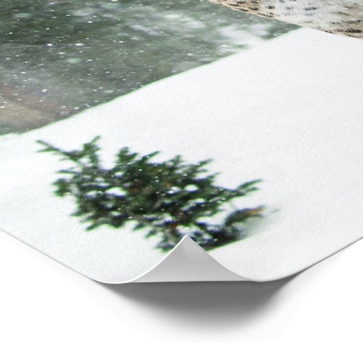 Zuivelspringen en Poster van het winterscène van d (Hoek)