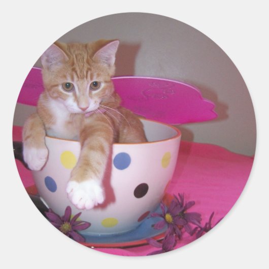 Zuivelsticker Ronde Sticker (Voorkant)