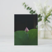 zuiver briefkaart (Staand voorkant)