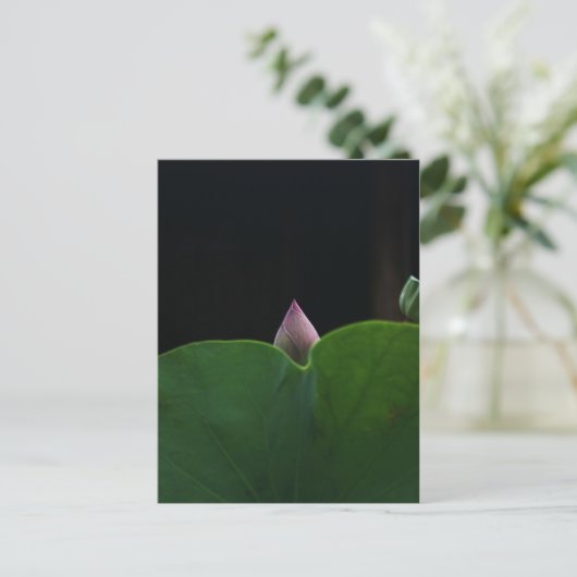 zuiver briefkaart (Staand voorkant)