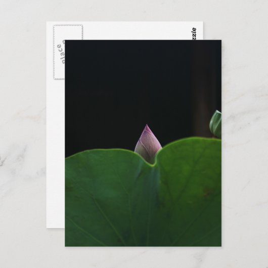 zuiver briefkaart (Voorkant / Achterkant)