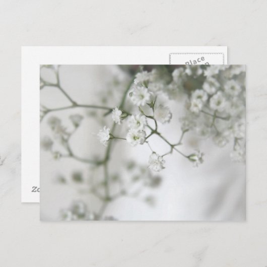 Zuiver Briefkaart (Voorkant / Achterkant)