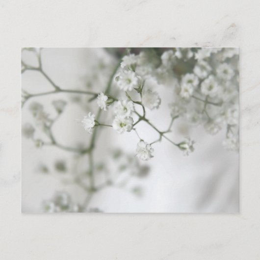 Zuiver Briefkaart (Voorkant)