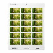 Zuiver in het magische bos met Bambi en vlinder Etiket (Full Sheet)