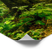 Zuiver in het magische bos met Bambi en vlinder Poster (Hoek)