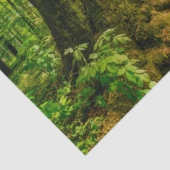 Zuiver in het magische bos met Bambi en vlinder Tissuepapier (Detail)