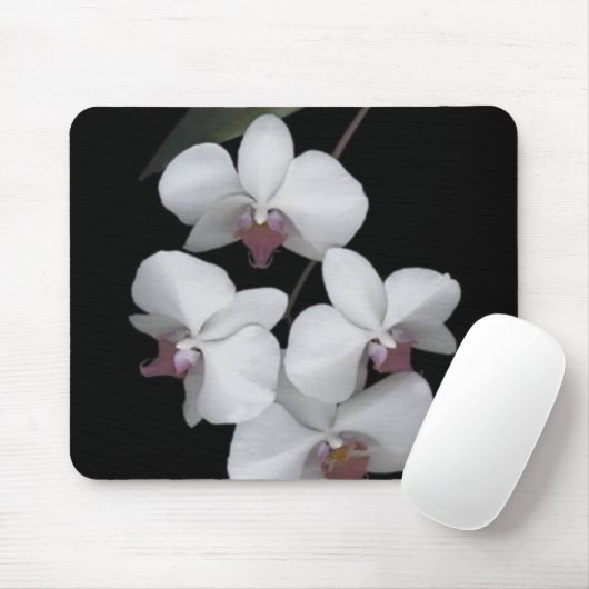 zuiver muismat (Met muis)