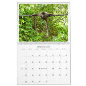 Zuiver Panama Kalender 2025 (Mar 2027)