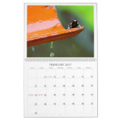 Zuiver Panama Kalender 2025 (Feb 2027)