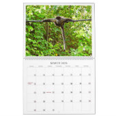 Zuiver Panama Kalender 2025 (Mar 2026)