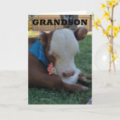 ZUIVERDAG ***GRANDSON** KAART (Gele Bloem)