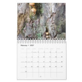 Zuivere huizen gevonden in natuur kalender (Feb 2027)