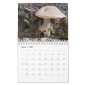 Zuivere huizen gevonden in natuur kalender (Mar 2027)