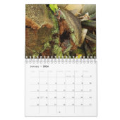 Zuivere huizen gevonden in natuur kalender (Jan 2026)