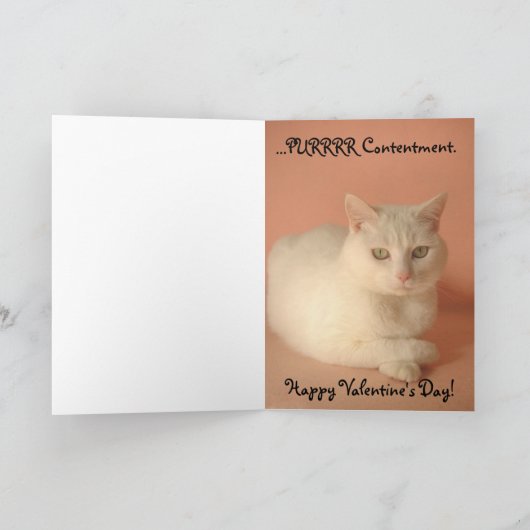 zuivere tevredenheid feestdagen kaart (Binnen)