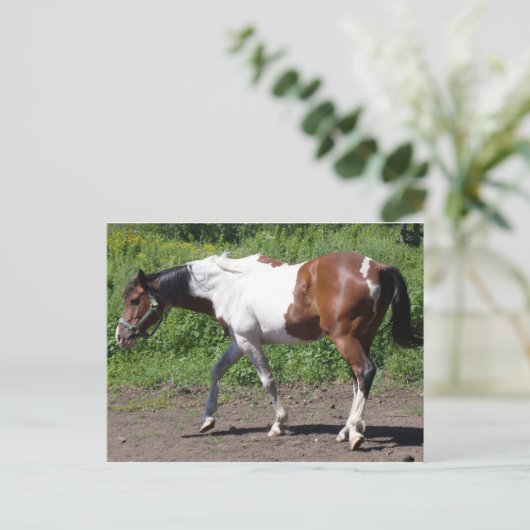 Zuivere verf briefkaart (Staand voorkant)