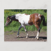 Zuivere verf briefkaart (Voorkant)