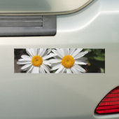 zuivere witte melkbloemen bumpersticker (Op auto)