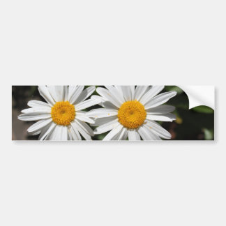 zuivere witte melkbloemen bumpersticker