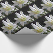 , zuivere witte paasbloem in zwart cadeaupapier (Hoek)