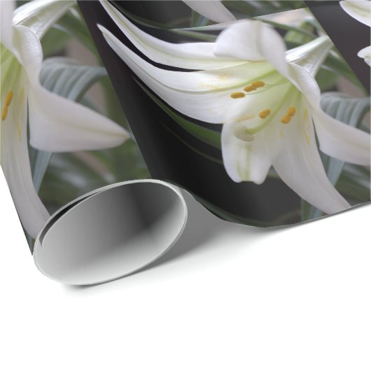 , zuivere witte paasbloem in zwart cadeaupapier (Rol Hoek)