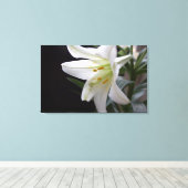 , zuivere witte paasbloem in zwart canvas afdruk (Insitu (Houten vloer))