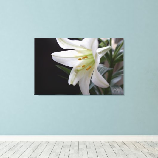 , zuivere witte paasbloem in zwart canvas afdruk (Insitu (Houten vloer))