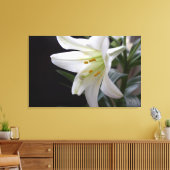 , zuivere witte paasbloem in zwart canvas afdruk (Insitu (Woonkamer))