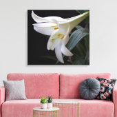 , zuivere witte paasbloem in zwart canvas afdruk (Insitu (Woonkamer))