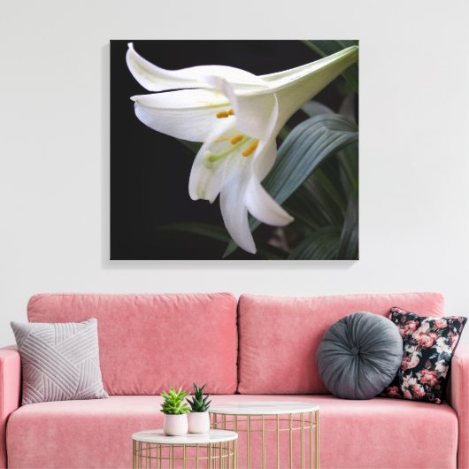 , zuivere witte paasbloem in zwart canvas afdruk (Insitu (Woonkamer))